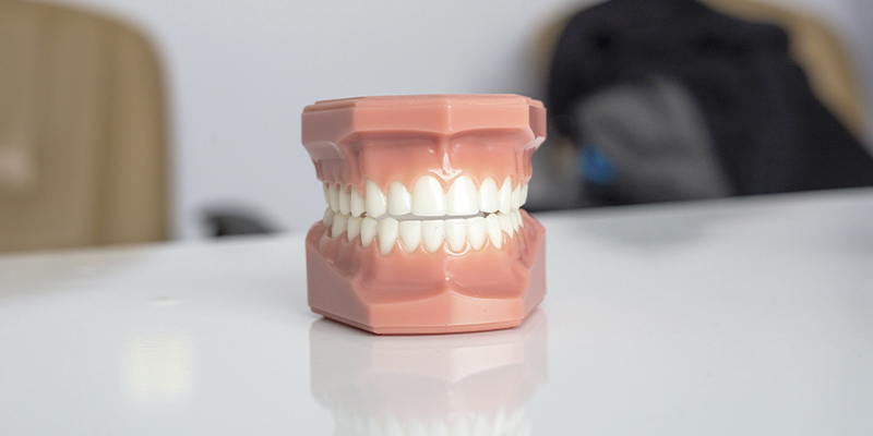 Principios Básicos de odontología